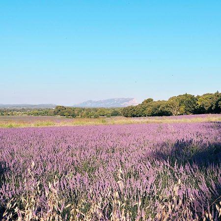 Maison Francoise Bed and Breakfast Aix-en-Provence Exterior foto