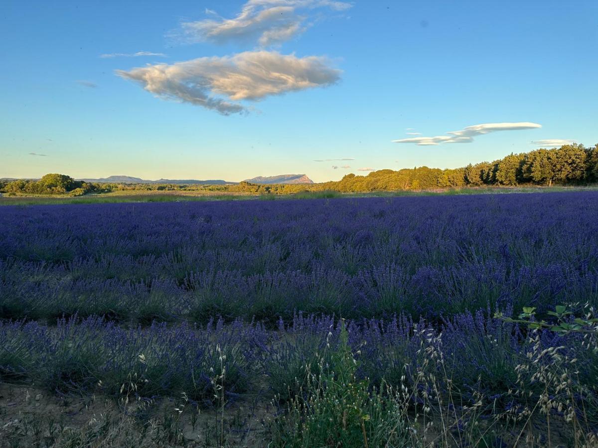 Maison Francoise Bed and Breakfast Aix-en-Provence Exterior foto